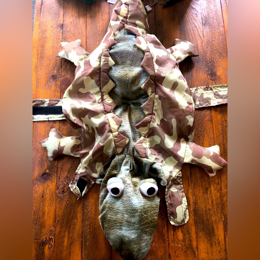 Alligator dog costume - size M